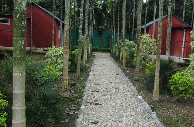 Resort Jayanti Hills Jungle Camp Rajabhat Khawa Exteriér fotografie